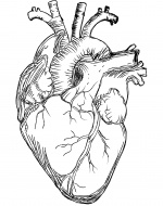 Heart-line-03