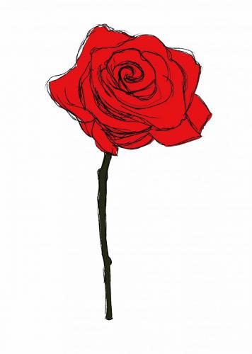 rosa Tavola disegno1-md